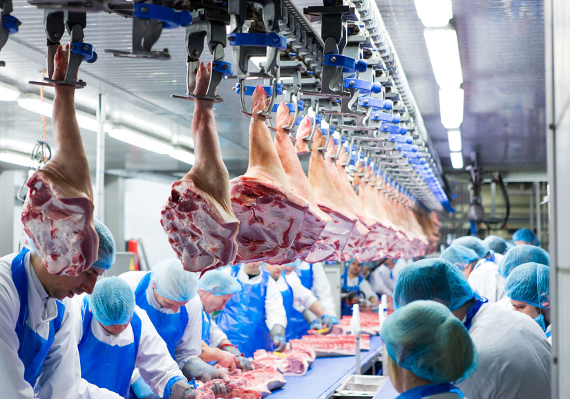 Deboflex Compaxo Deboning Line