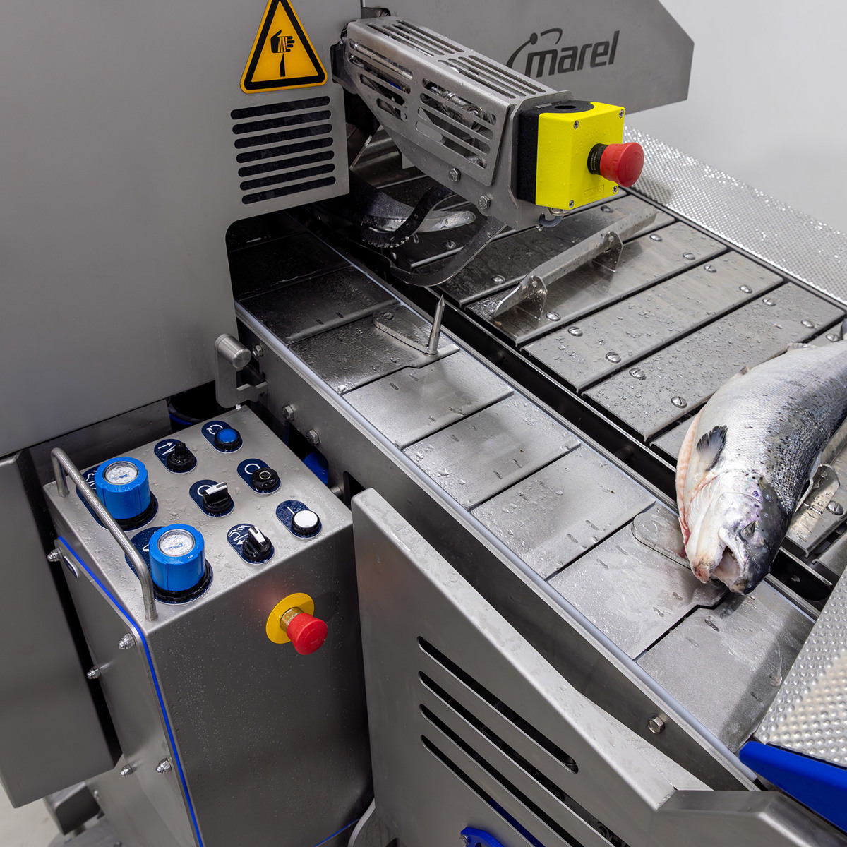 How does a deheader optimize salmon filleting? | JBT Marel
