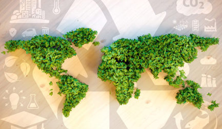 Make it Sustainable: Sustainable Packaging Solutions