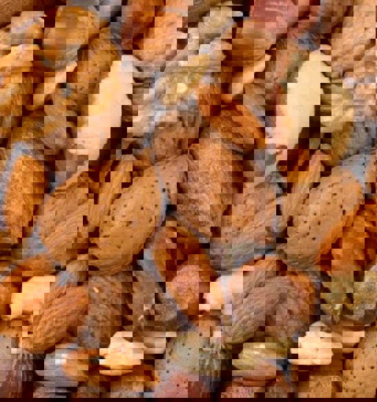 JBT_Nut_Industry_Solutions_Bin_Scrubber