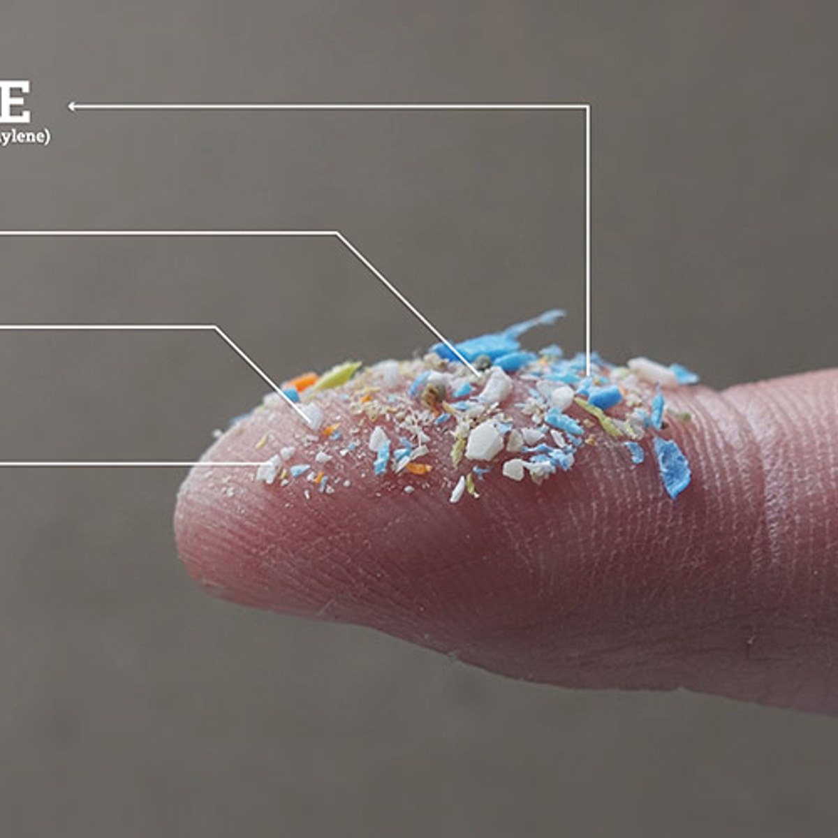 Minimizing microplastics in the food processing line | JBT Marel