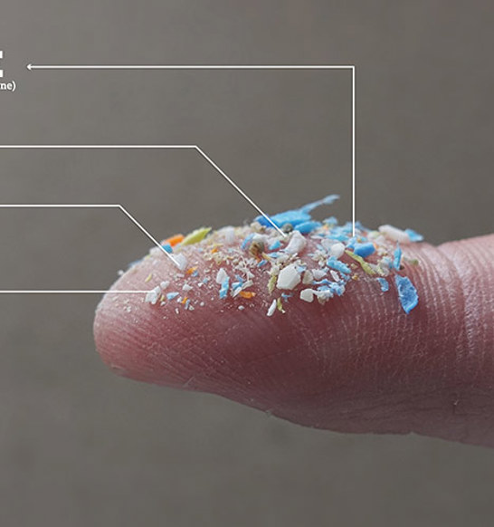 microplaster-header