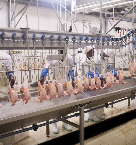 Moving from manual to automated processing | JBT Marel