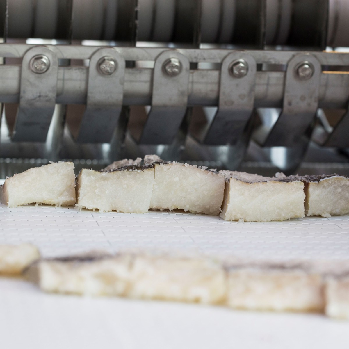 STC StripCutter Whitefish | JBT Marel