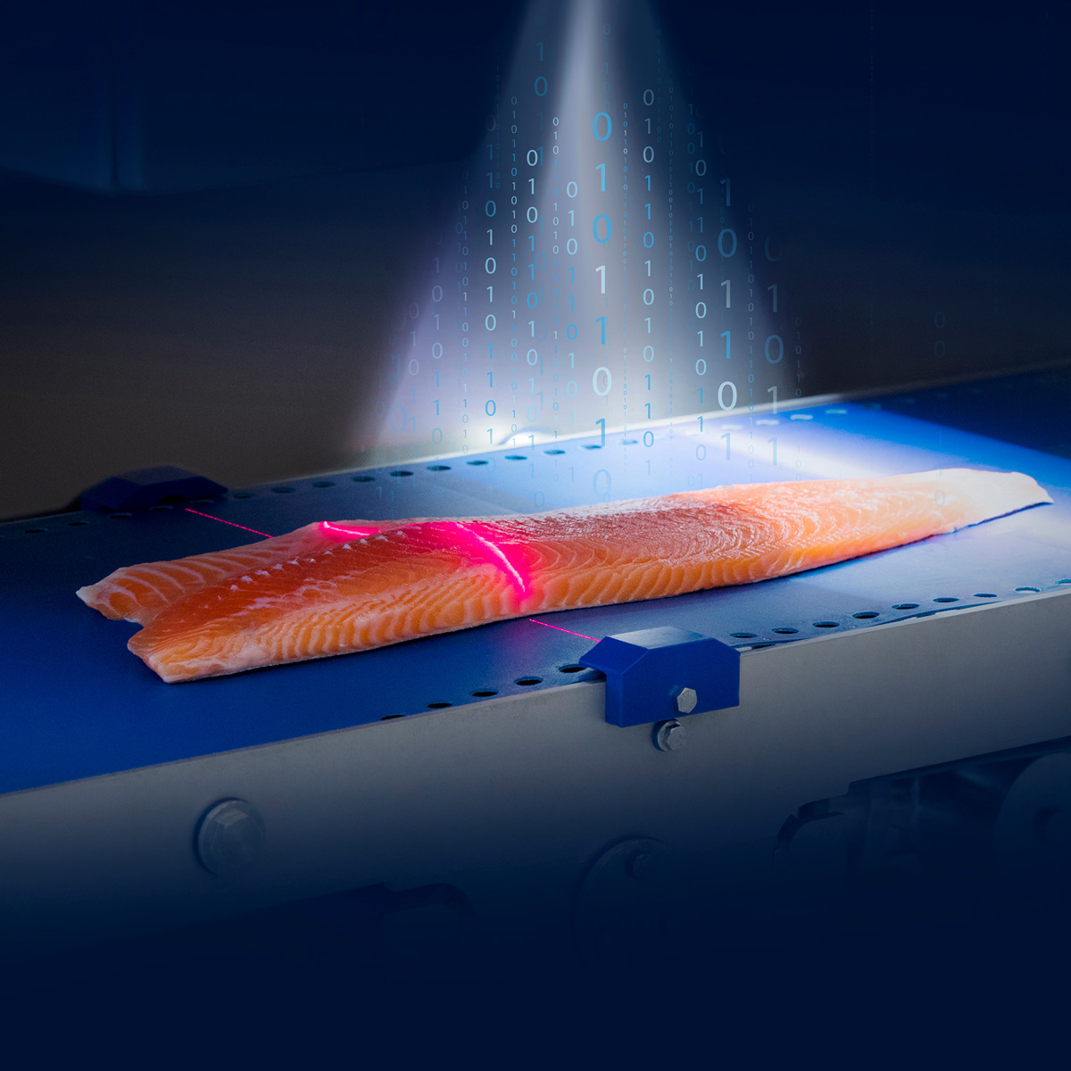 Feeff 5 Tech innovations reshaping salmon processing in 2025 | JBT Marel
