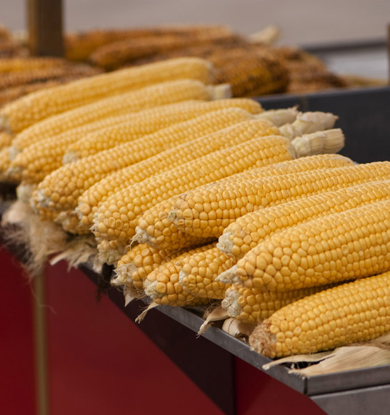 Canned Vegetable Processing Reception