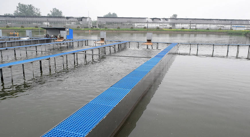 Fresh Water Fish Farming