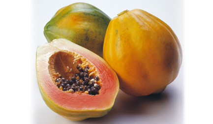 Endura-Fresh™ 6100 Papaya