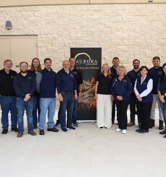 Aurora News Article Software Team