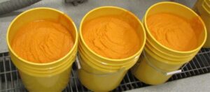 Three 5-gallon buckets of pumpkin puree