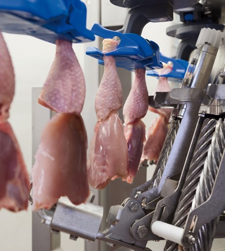 Marel Thigh Fillet System