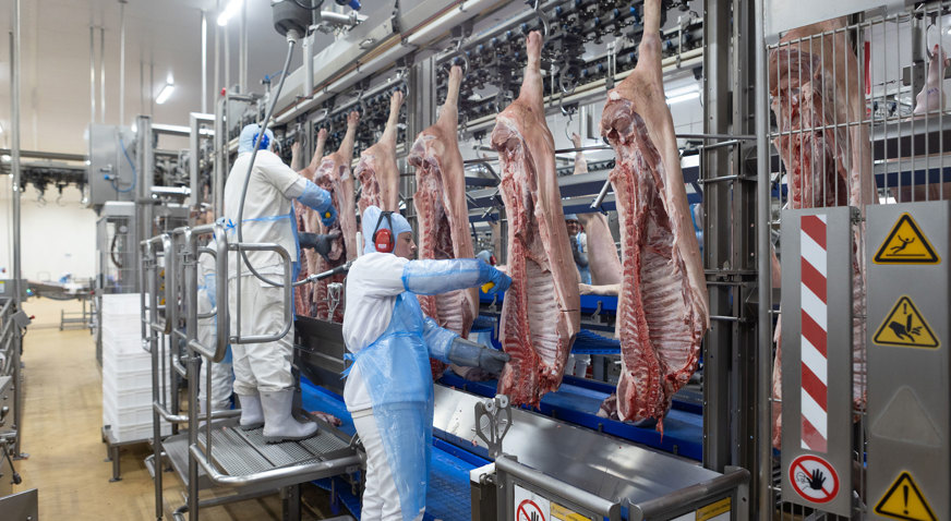 Frimesa Secondary Processing Deboflex