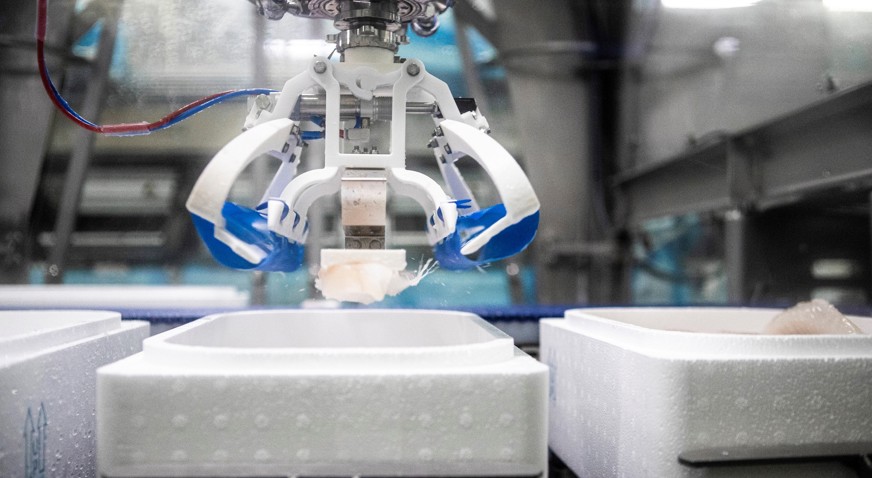 Robobatcher Box Packing And Styling Whitefish Into Polystyrene Boxes