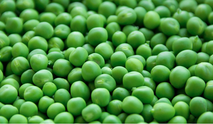 JBT’s Frigoscandia FLoFREEZE M SD: innovations in Accessibility and Food Safety