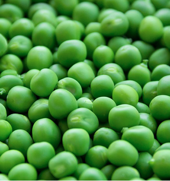jbt_frigoscandia_flofreeze_peas