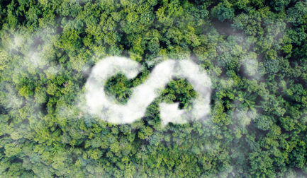 Cultivating Environmental Stewardship: Proseal's Holistic Approach to Sustainability