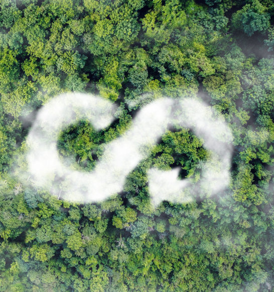 MicrosoftTeams-image-19-scaled