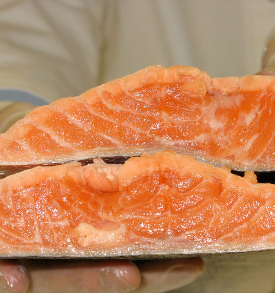 Crust Freezing Salmon