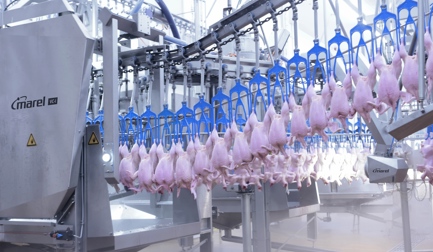 VC-i – первое в мире интеллектуальное устройство отрезания клоаки