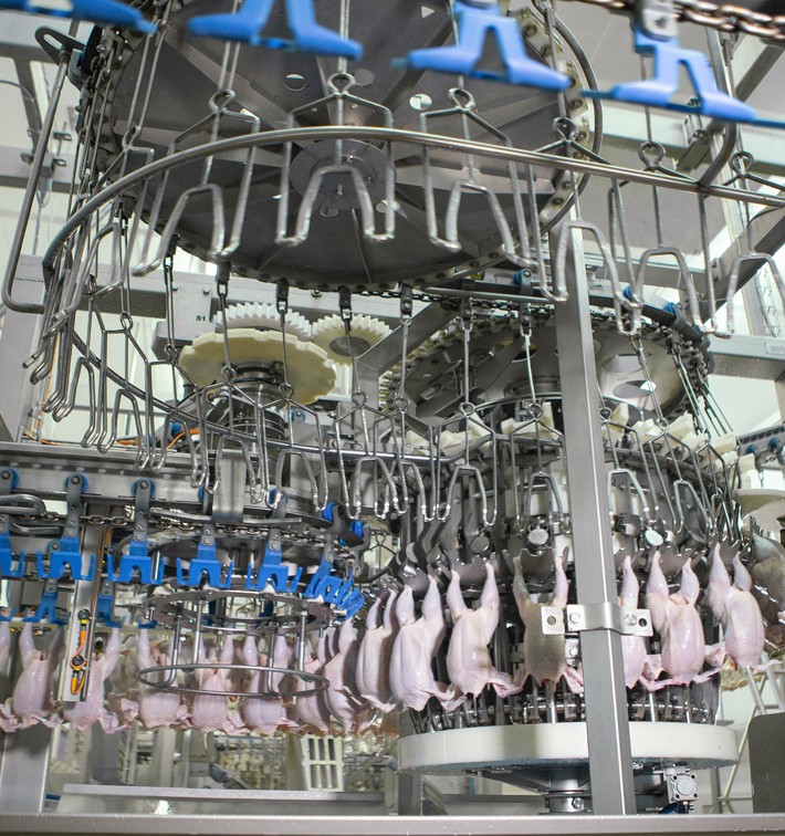 Птица Linelink EC