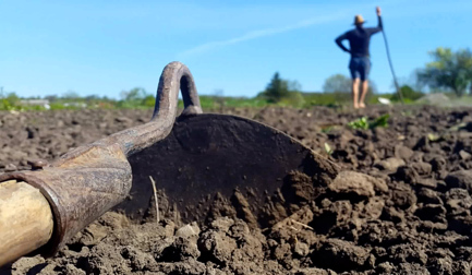 Global Food Security Through Optimized Food Production