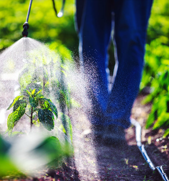 Chemical contamination in food processing can have devastating consequences