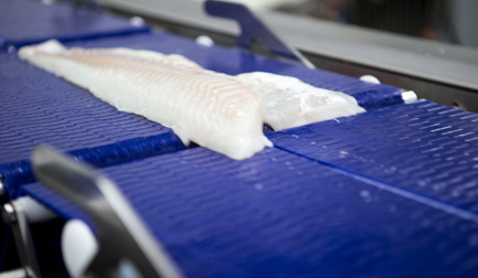 Procesamiento de pescado blanco: ¿desafío u oportunidad?