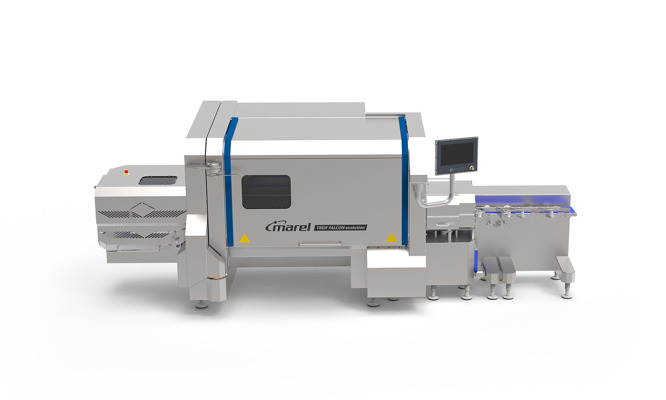 TREIF FALCON evolution