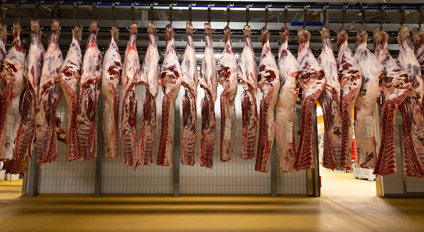 Himmerlandskod Pork Carcass