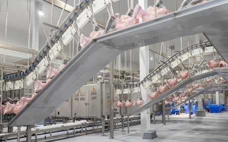 Deboning Turkey Prestage