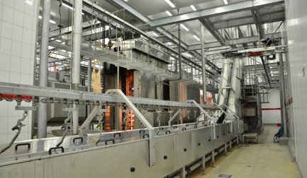 Swine Scalding Tank on Air Conveyors 