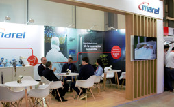 OVUM 2026
