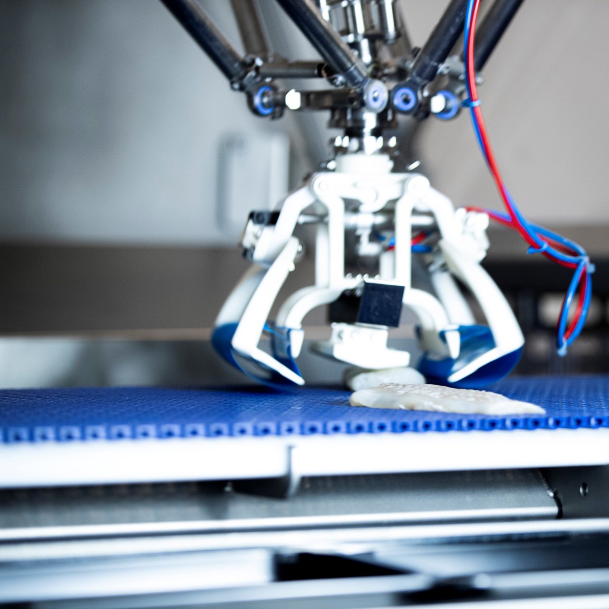 Ísfélagið takes automation to the next level with the RoboBatcher Box ...