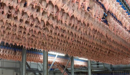 为什么需要熟化？