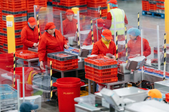 Berry Gardens: tray-sealing in action Berry Gardens: tray-sealing in action