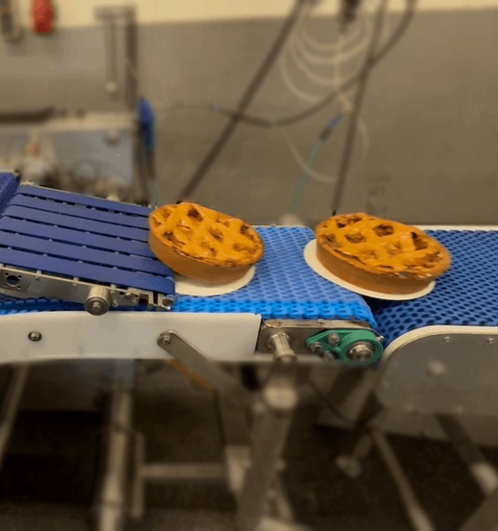 Sleegers Tray Loader & Denester