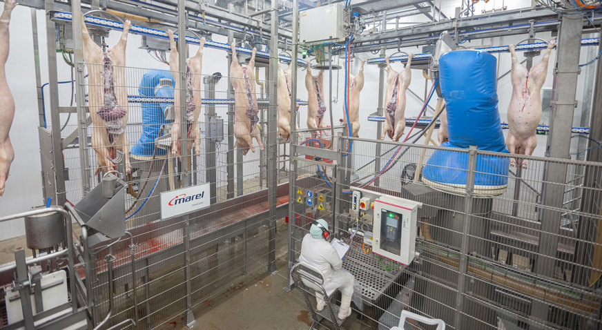 Frimesa Primary Processing 2