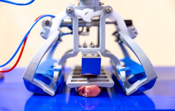 Robopacker Meatproducts5