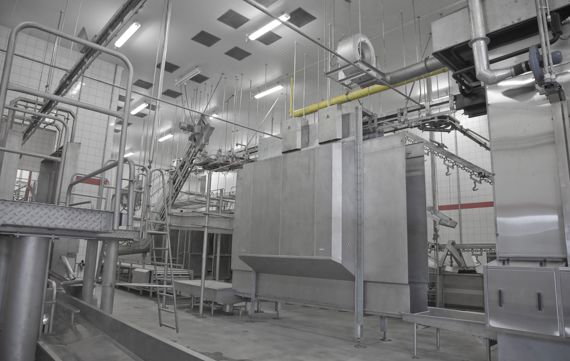 Polish Drying Washing And Polishing In Pork Processing