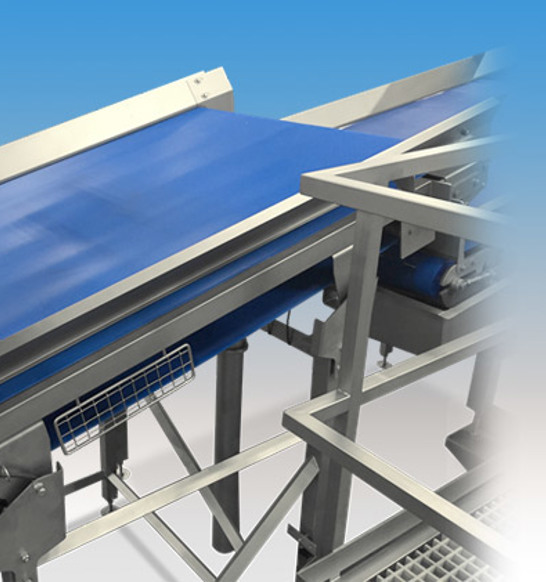 Weighing-Conveyor-left