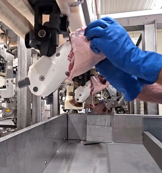 Duck Processing JBT Marel FHF-D: the world’s first-ever automated duck deboning system ...