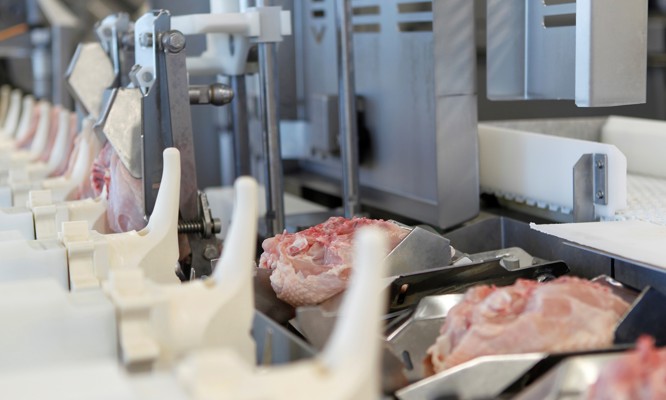 Breast cap filleting meets intelligence - AMF-i