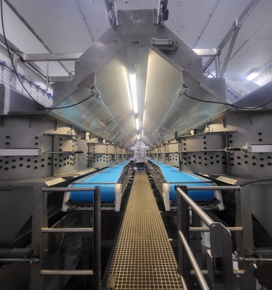 Drum Plucker Portrait