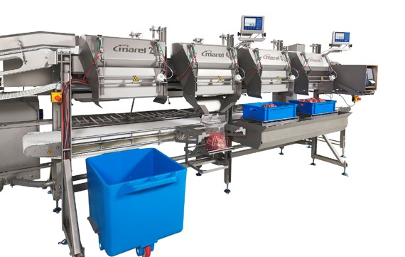 Sensorx Accuro Creates Batches With Specific Fat To Lean Ratio And Weight Targets