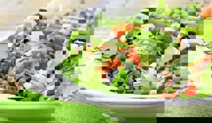 Proseal &amp; Halopack: the relationship shaping packaging’s future