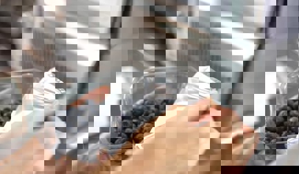 JBT Proseal and Berry Gardens: lasting support through changing times