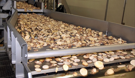 Urtasun: JBT’s newest addition expands vegetable expertise