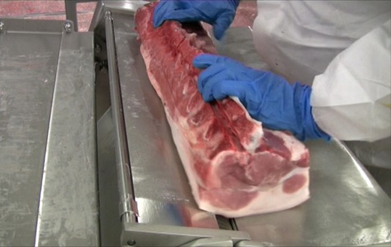 MAJA ESM 5800 découennage de longes de porc