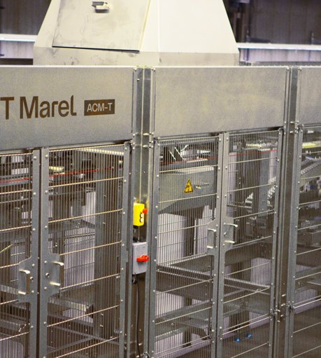 ACM T JBT Marel Branding 2400