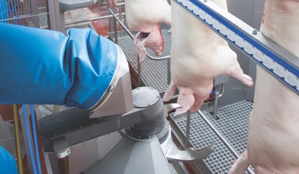 dressing line automation pigs Slaughter lines for pigs